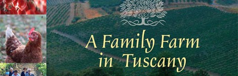 Tuscan-cove-updatedr-7