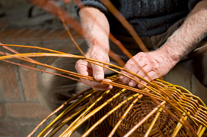 fattoria-poggio-alloro-didattica-classes