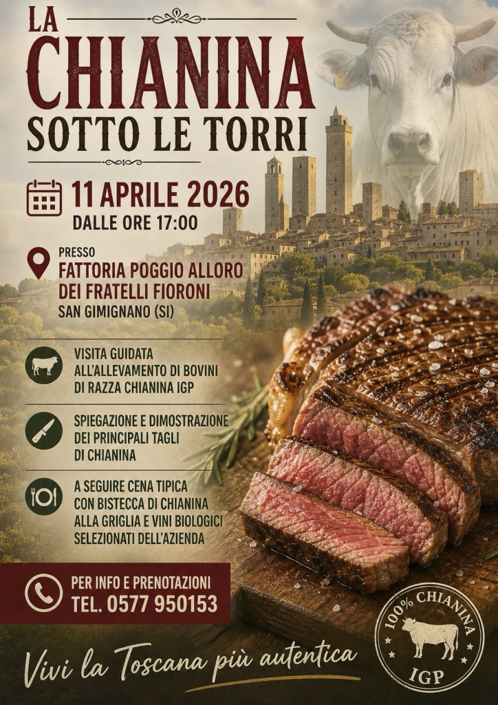 11 APRILE CHIANINA