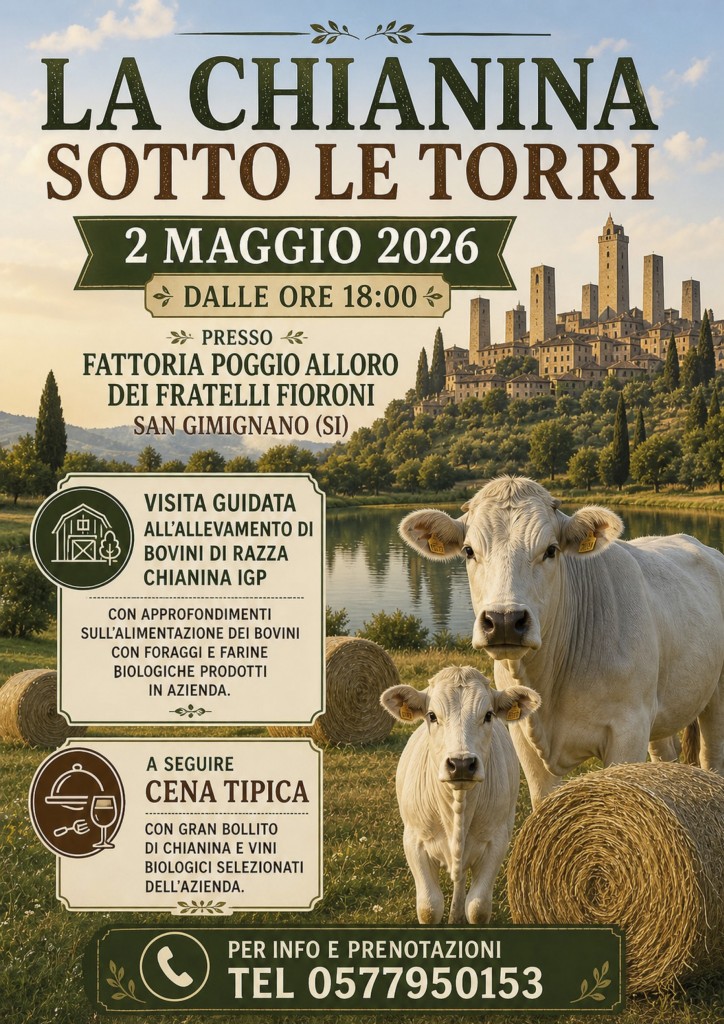 2 MAGGIO CHIANINA